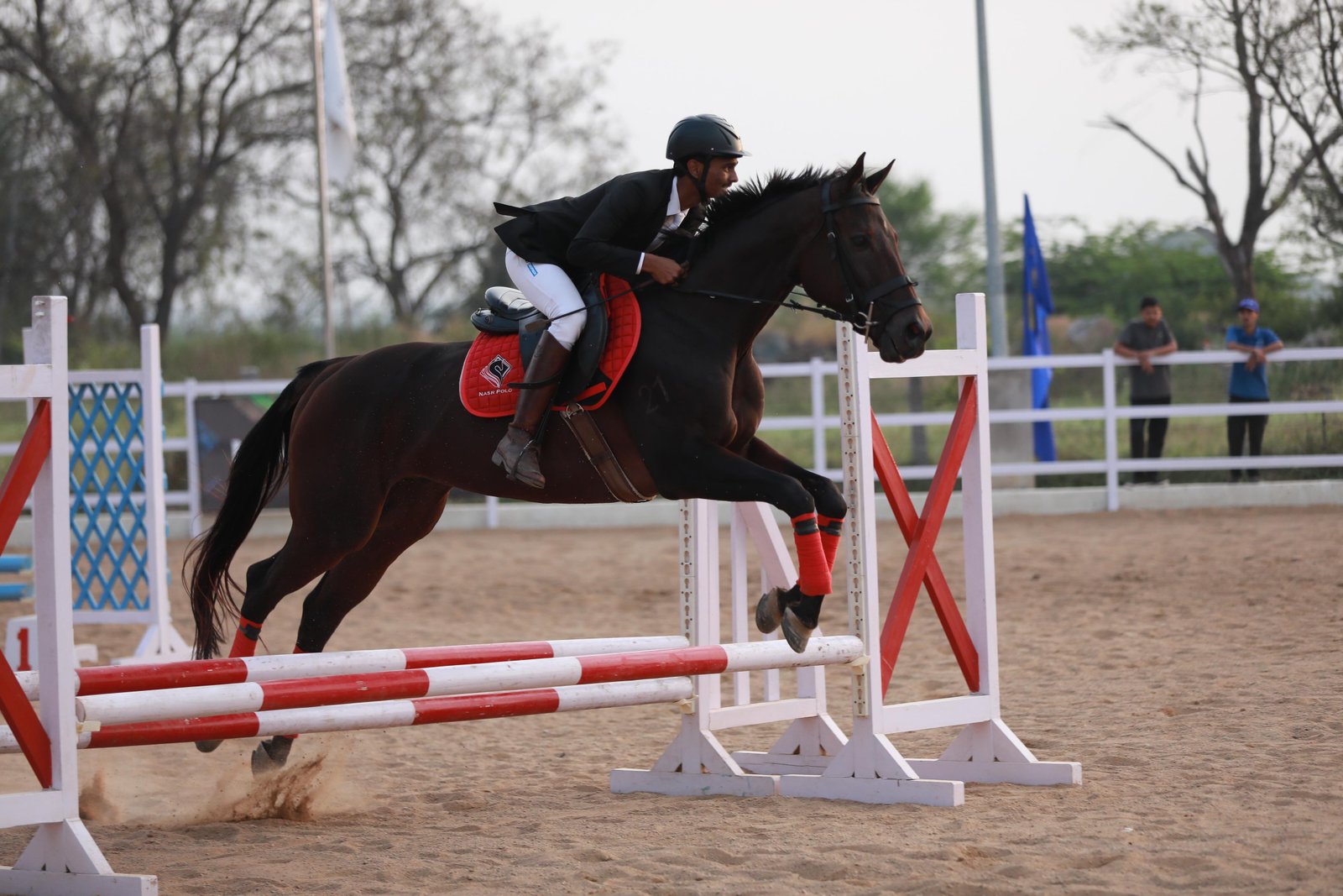 Young Rider